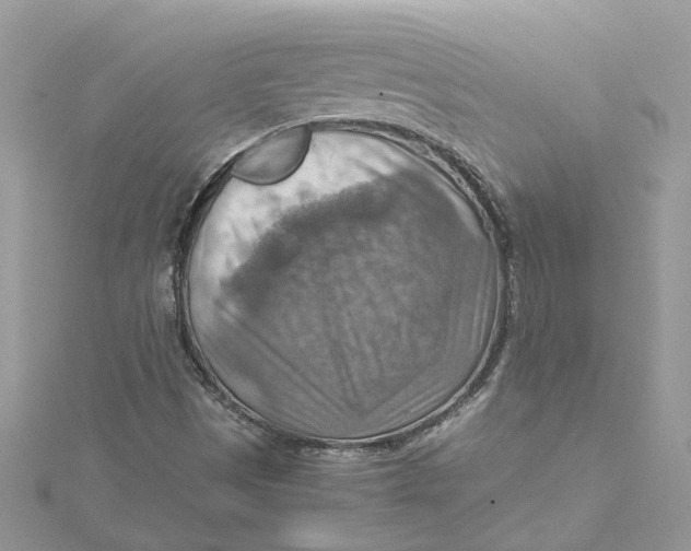 X0000115191497200911181436