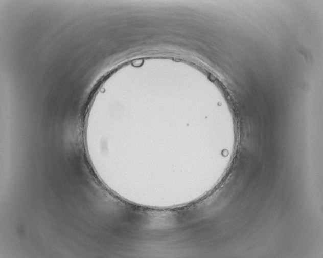 X0000115191498200911181436