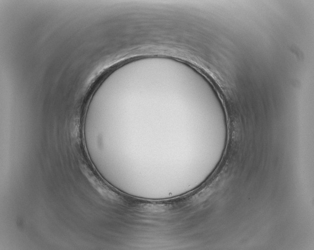 X0000115191499200911181437