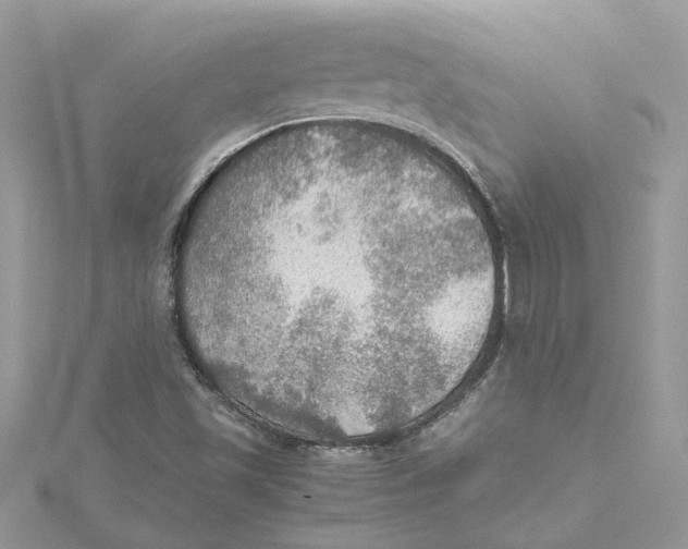 X0000115191501200911181437