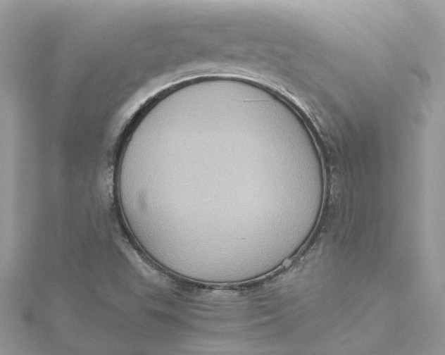 X0000115191503200911181437