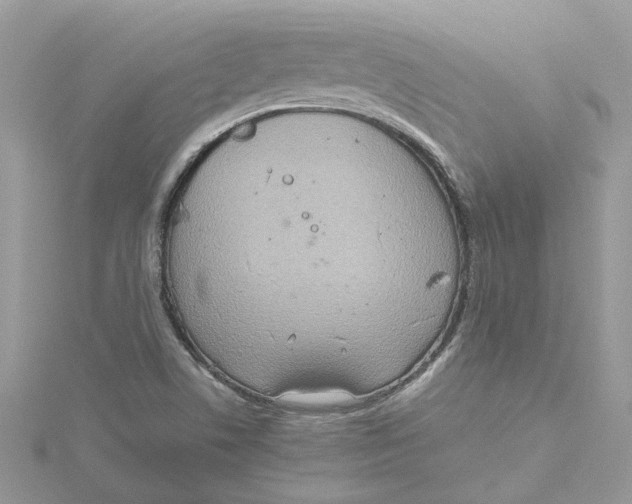 X0000115191506200911181437