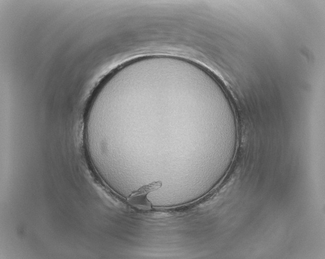 X0000115191507200911181437