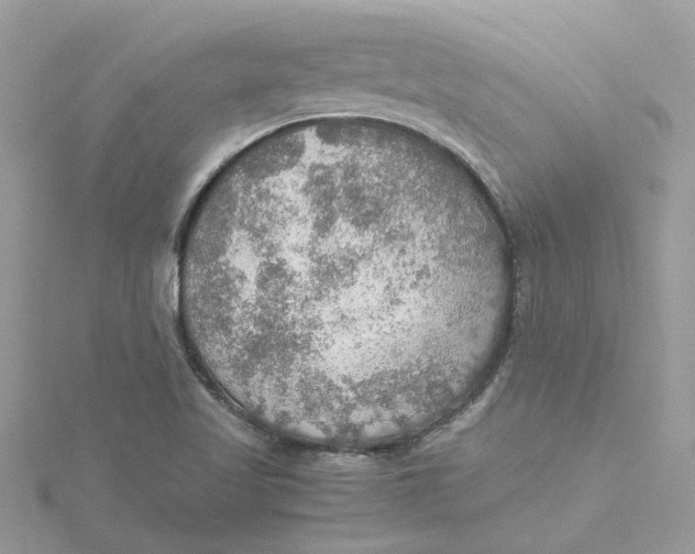 X0000115191509200911181437