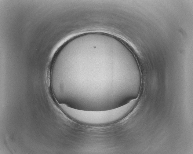 X0000115191510200911181437