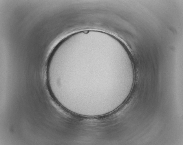 X0000115191511200911181437