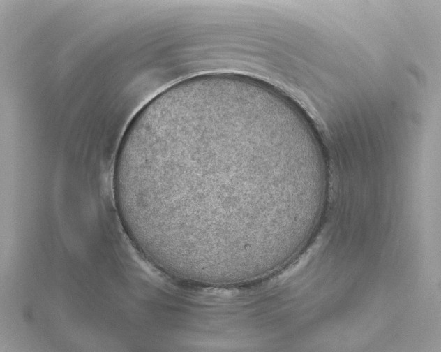 X0000115191513200911181437