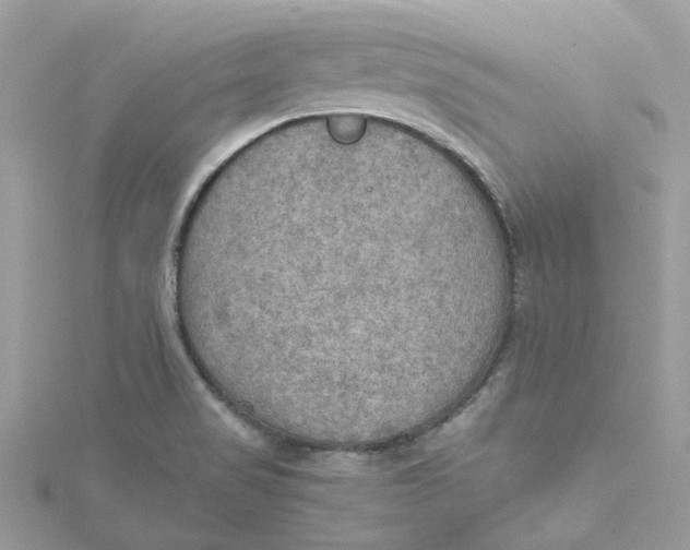 X0000115191517200911181437