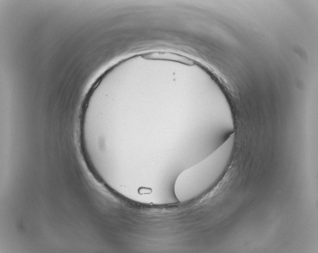 X0000115191518200911181437