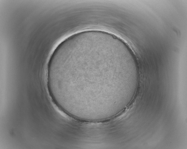 X0000115191519200911181437