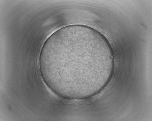 X0000115191521200911181437