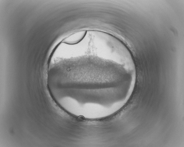 X0000115191522200911181437