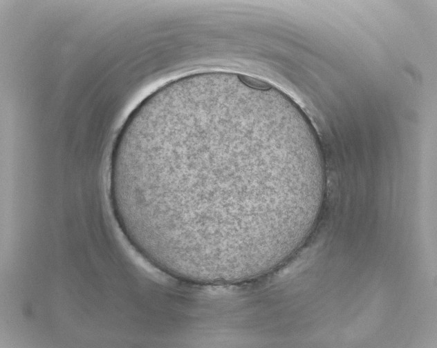 X0000115191523200911181437