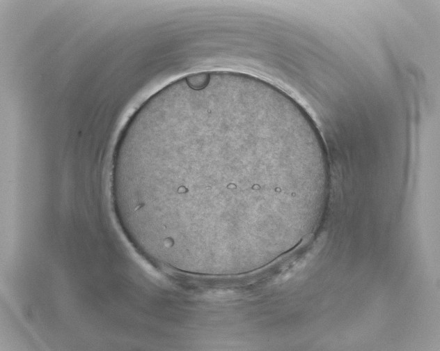 X0000115191525200911181437