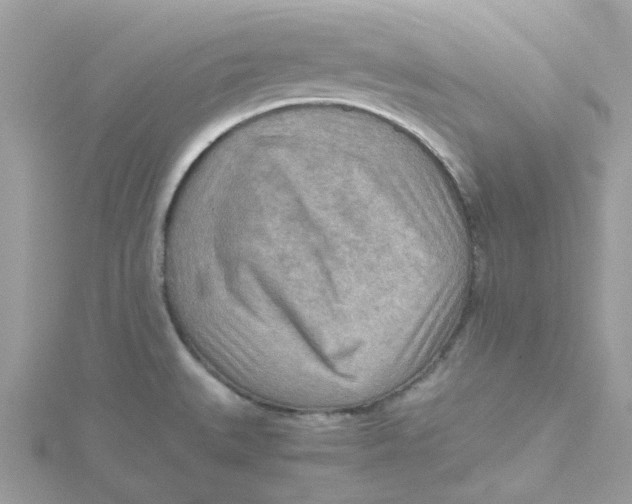 X0000115191527200911181437