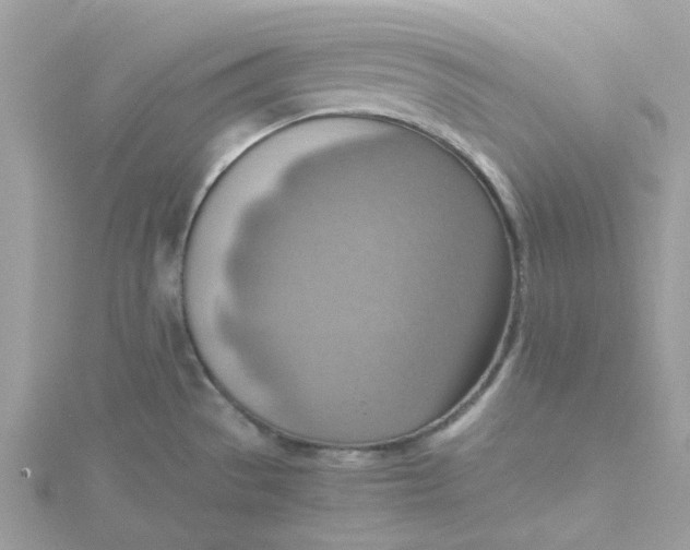 X0000115191529200911181437