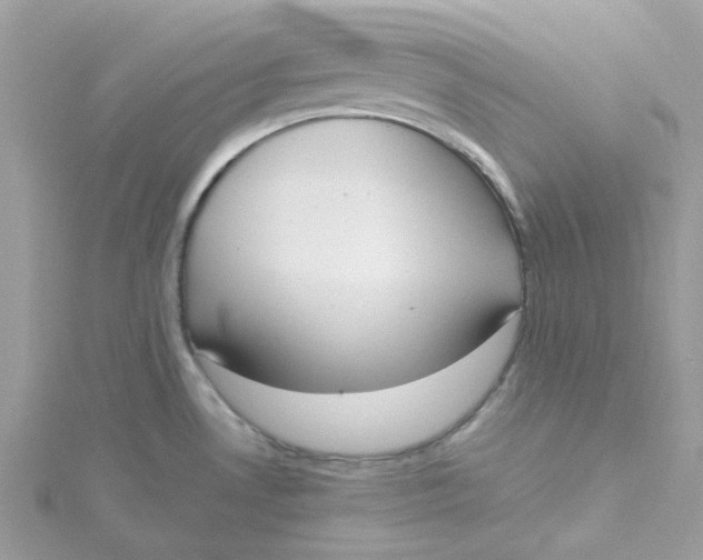 X0000115191530200911181437