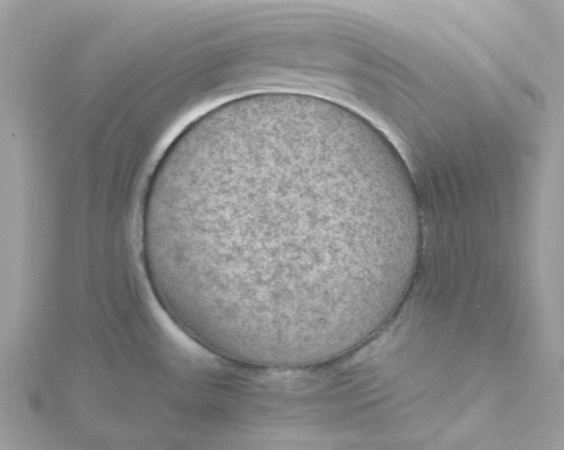 X0000115191531200911181437