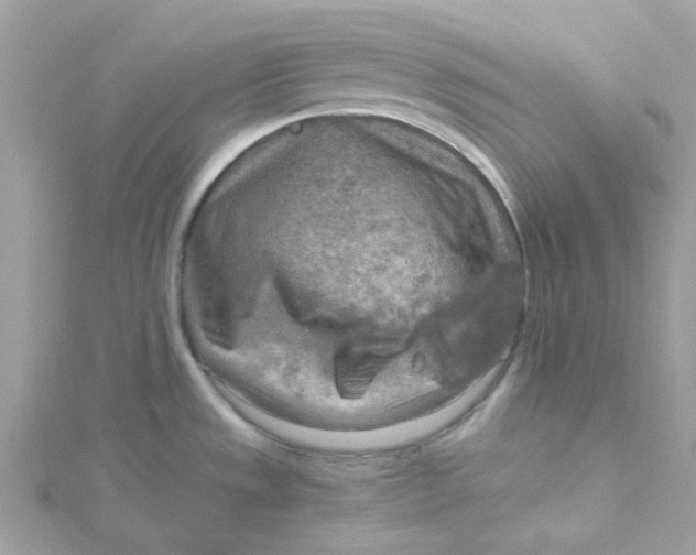 X0000115191533200911181437