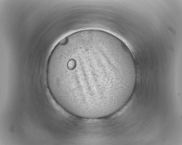 X0000115191534200911181437