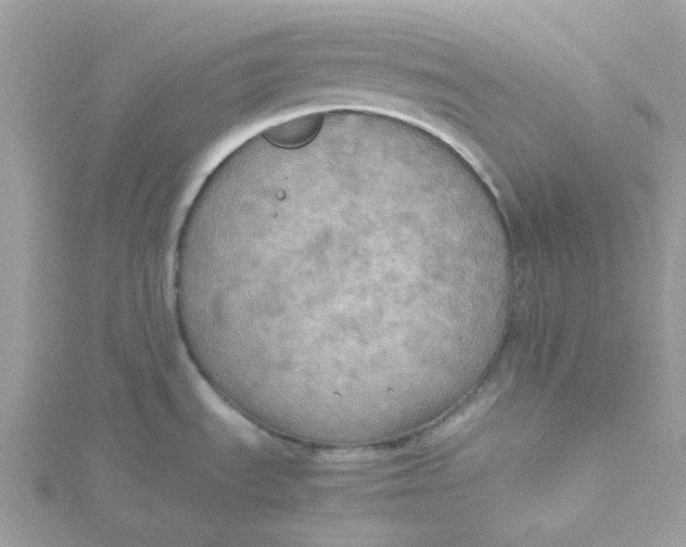 X0000115191535200911181437