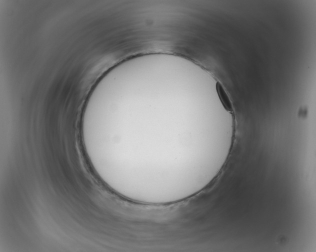 X0000115190001200911251430