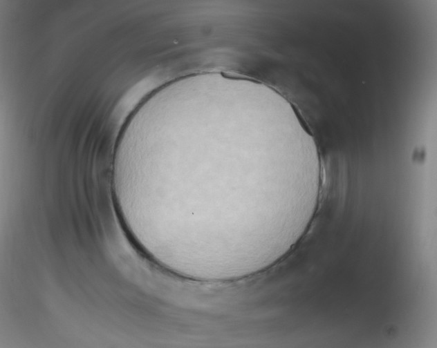 X0000115190003200911251430