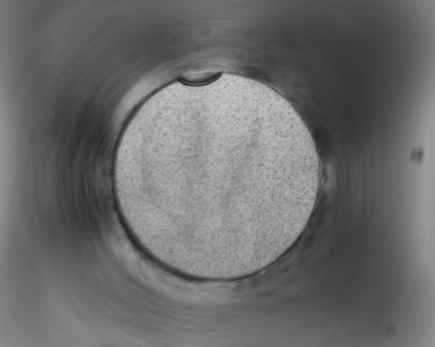 X0000115190004200911251430