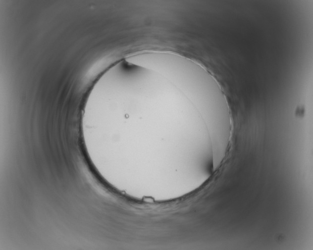 X0000115190005200911251430