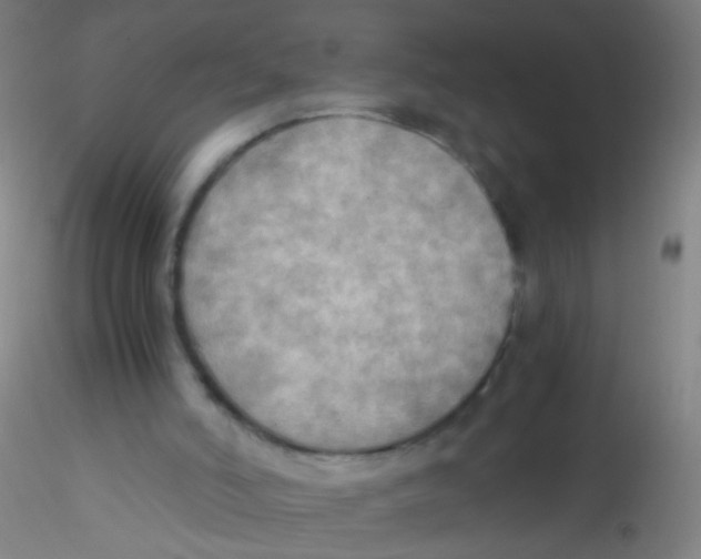 X0000115190006200911251430