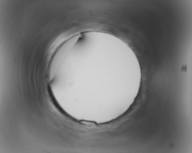 X0000115190007200911251430