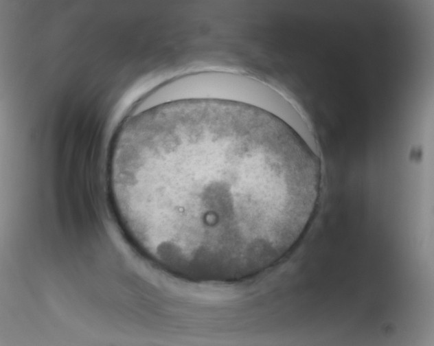 X0000115190008200911251430