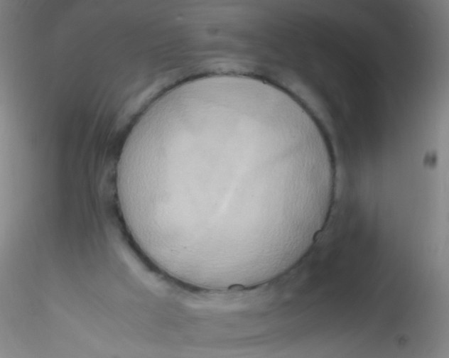 X0000115190009200911251430