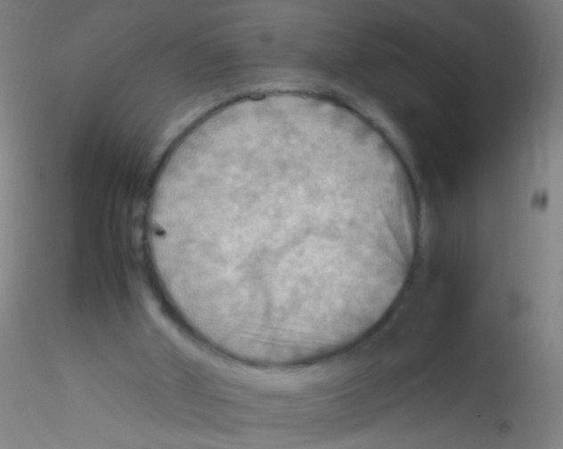 X0000115190010200911251430