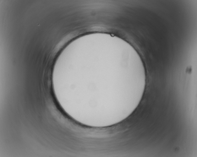 X0000115190011200911251430