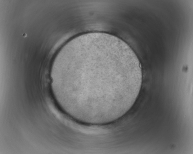 X0000115190012200911251430