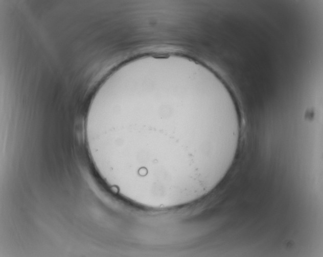 X0000115190013200911251430