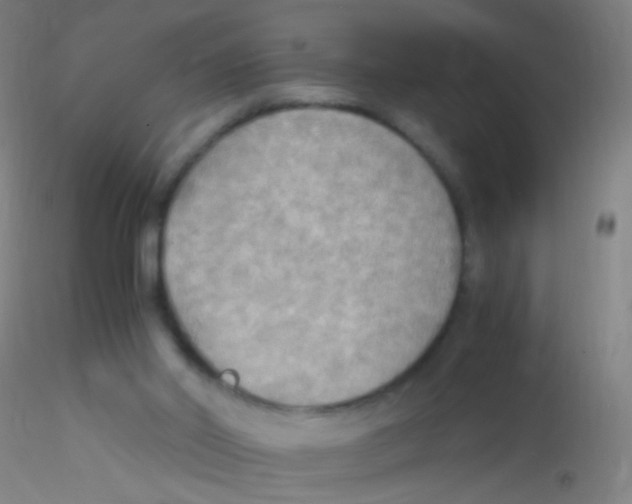 X0000115190014200911251430