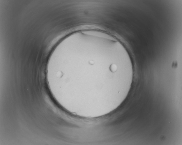 X0000115190015200911251430