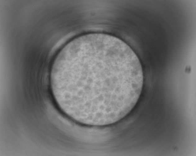 X0000115190016200911251430