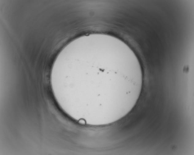 X0000115190017200911251430