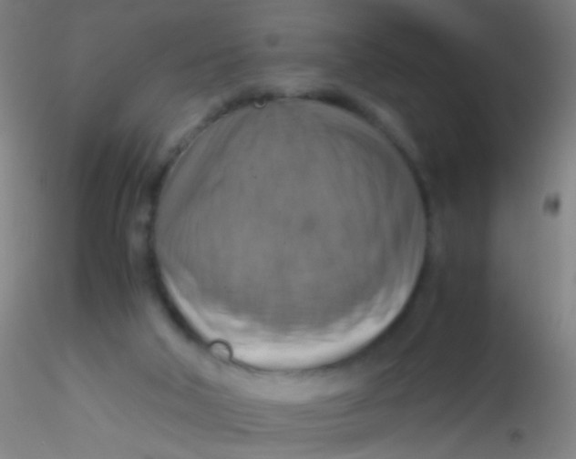 X0000115190018200911251430