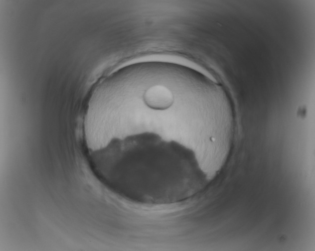 X0000115190019200911251430