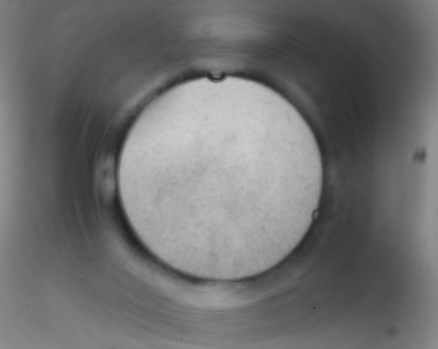 X0000115190020200911251430