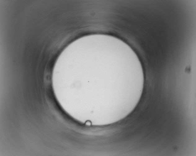 X0000115190021200911251430