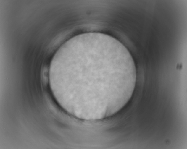 X0000115190022200911251430