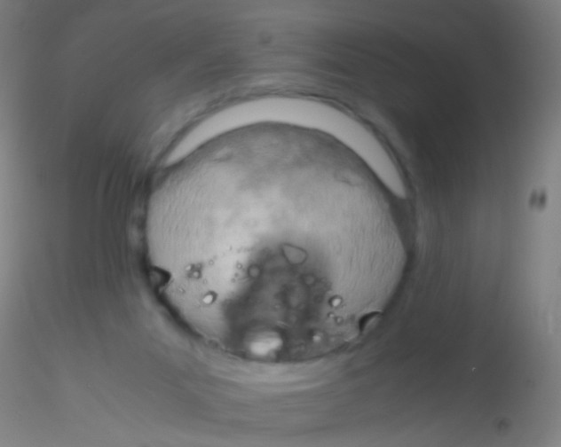 X0000115190023200911251430