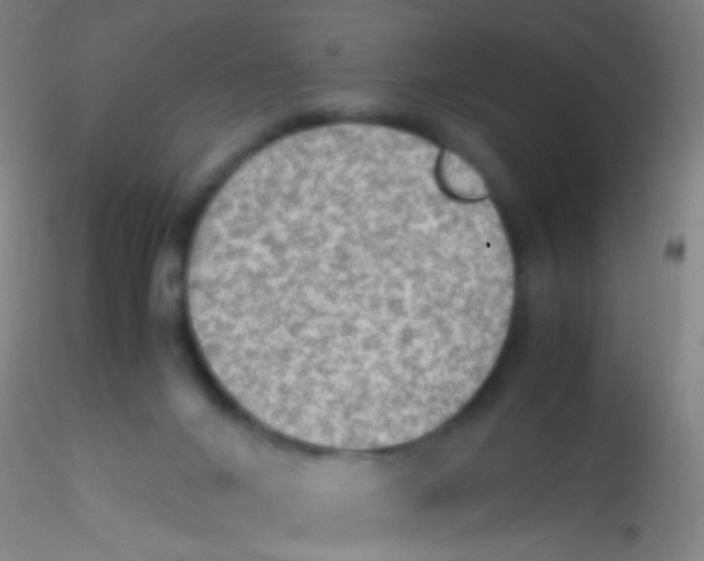 X0000115190024200911251429