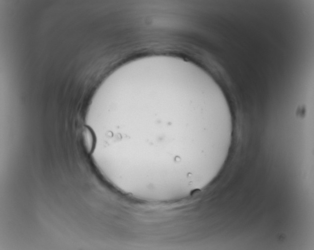 X0000115190025200911251429