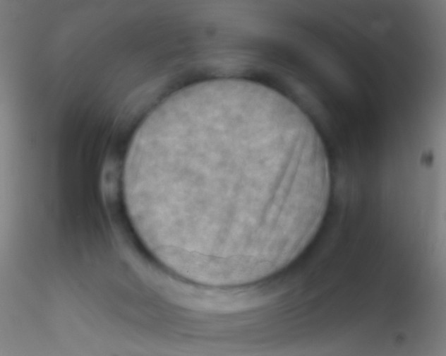 X0000115190026200911251429